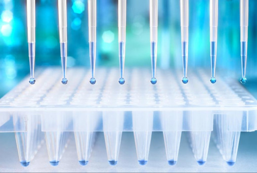 Arten von Proben für DNA-Tests