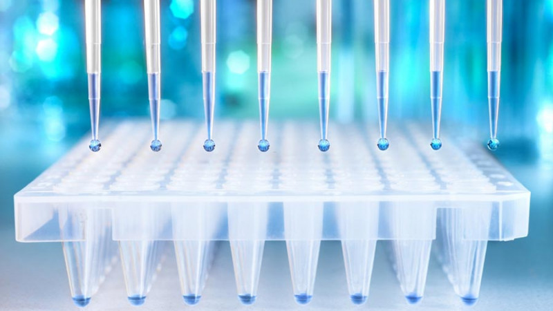 Arten von Proben für DNA-Tests